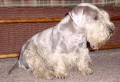 Artu�